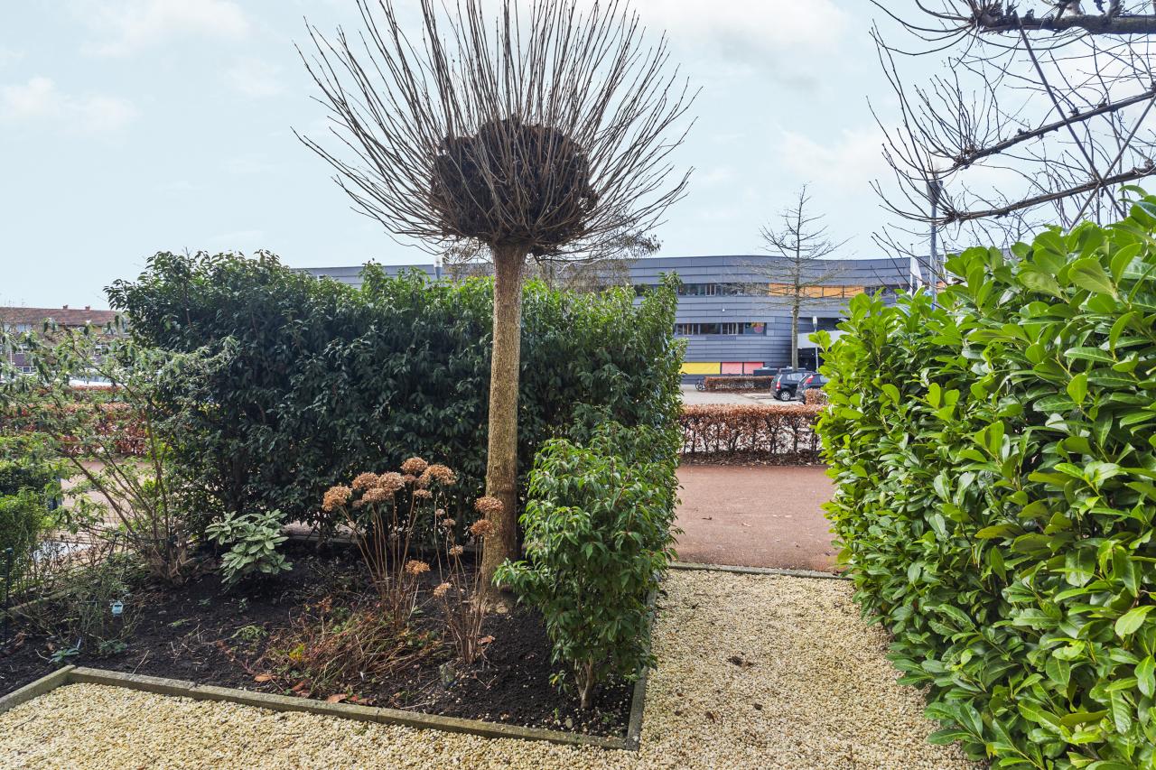 Pijlpuntstraat 30, Nijmegen (6515 DJ)