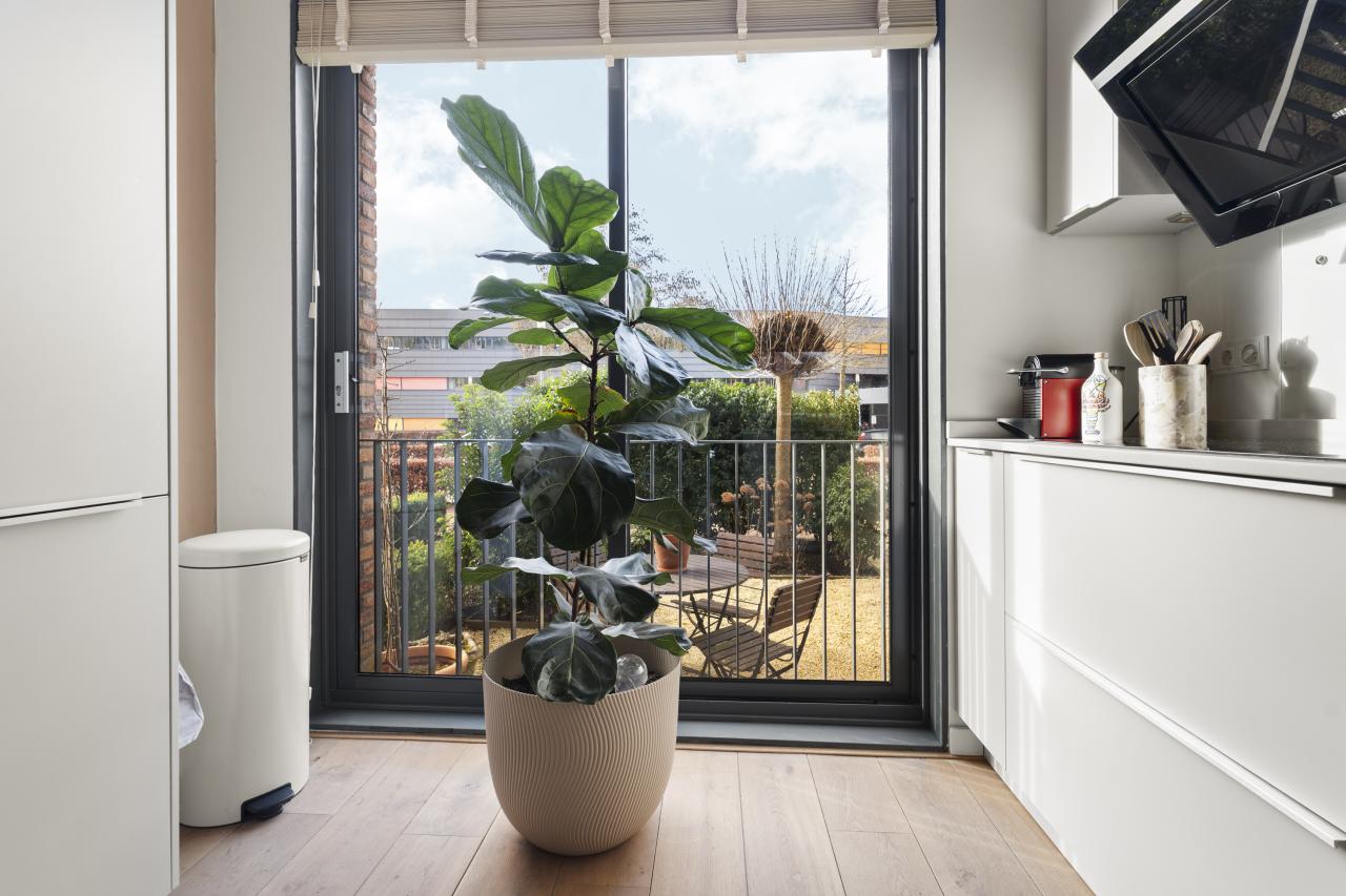 Pijlpuntstraat 30, Nijmegen (6515 DJ)