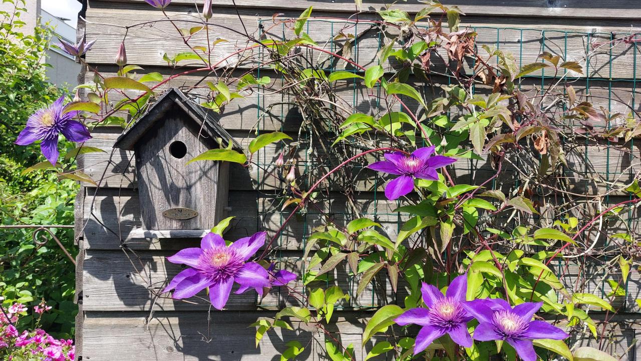 Akkerwinde 31, Lent (6663 GC)